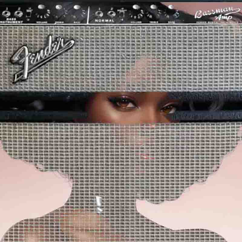 A woman with an afro peering through a Fender Bassman mesh screen.