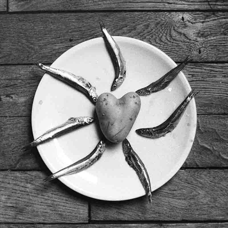 Still Life Black and White fine art photo: Potato and Sardines on Plate