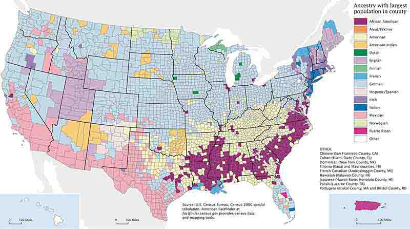 A chart of the top ancestries in the US, as provided by the 2000 census.