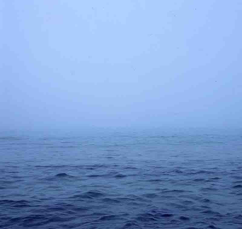 Misty deep blue sea barely visible through the fog.